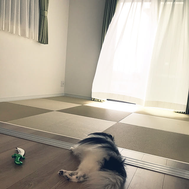 実例写真