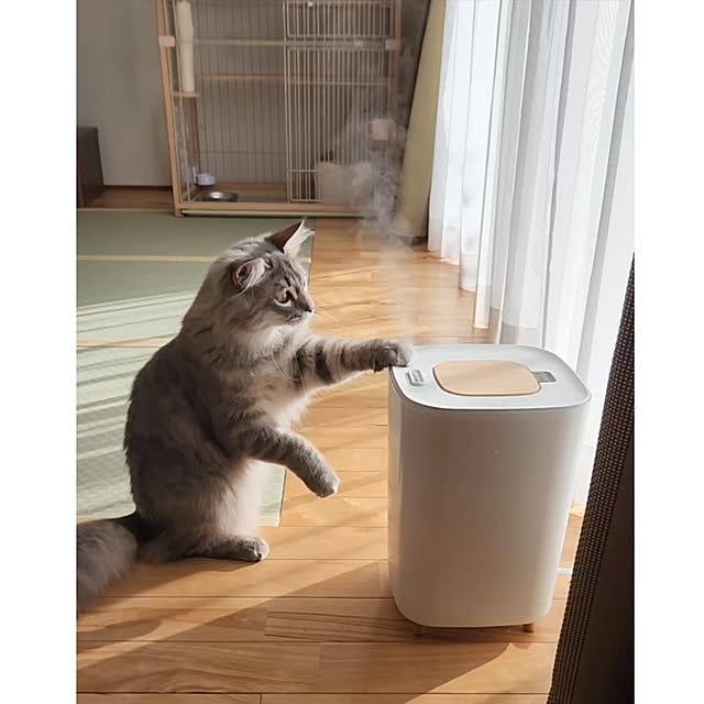 kossyさんの実例写真