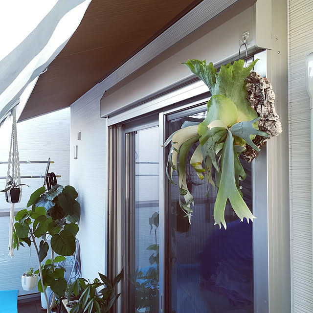 Jijiさんの実例写真