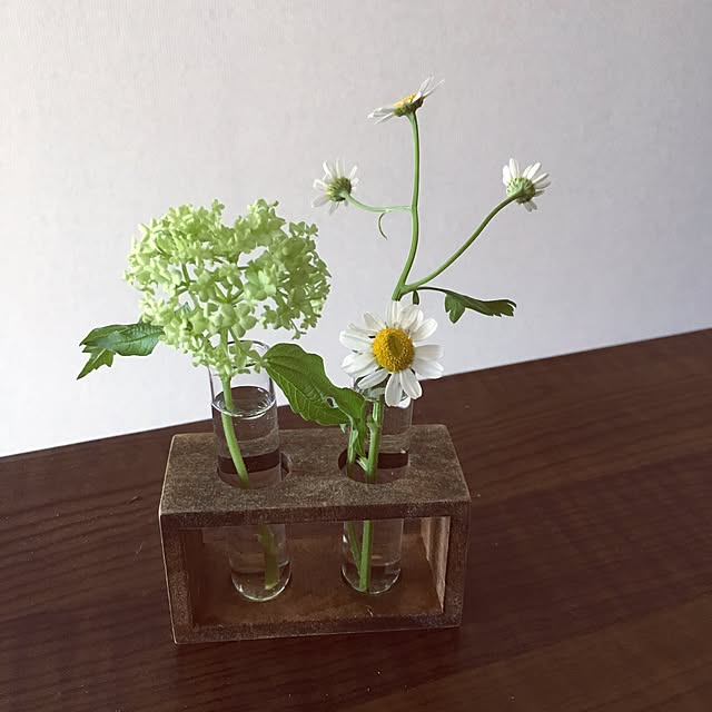 hiyoさんの実例写真