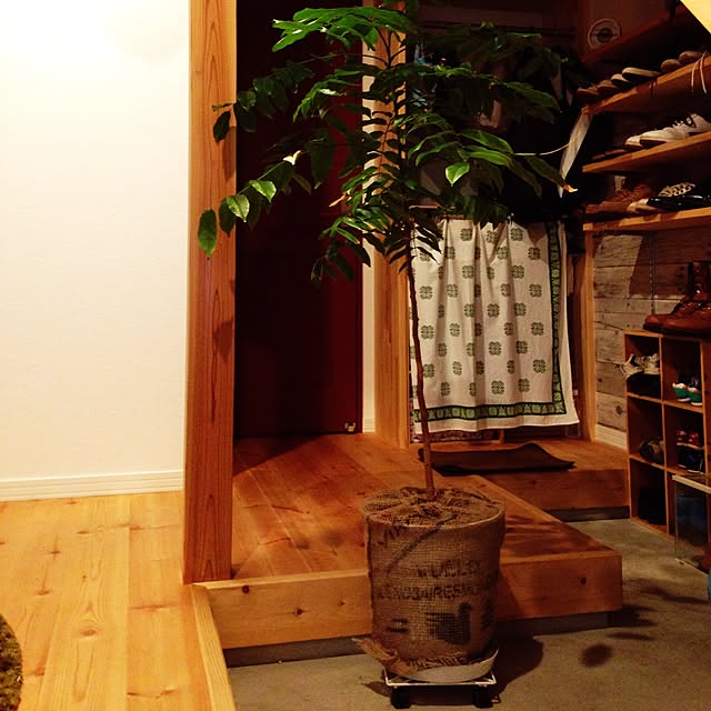 niRieさんの実例写真