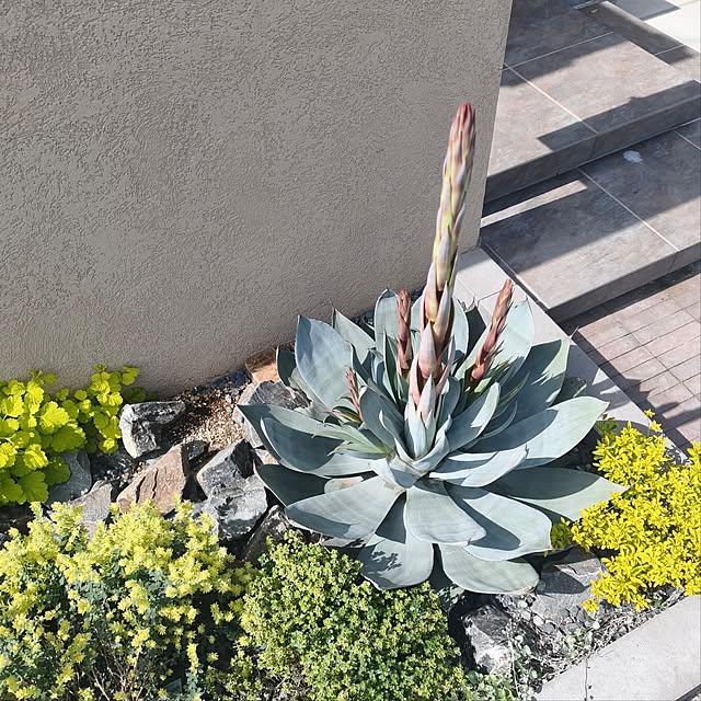 mokaさんの実例写真