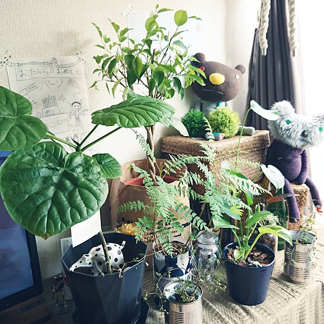 s.p.sunaoさんの実例写真