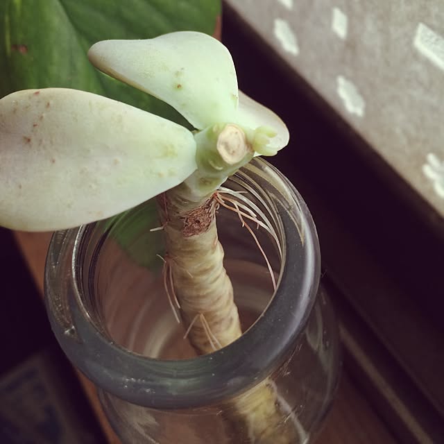 Onettoさんの実例写真