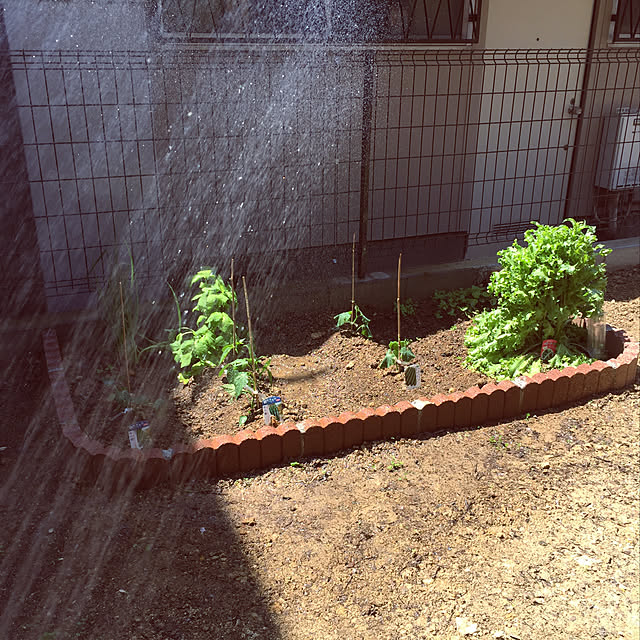 masaさんの実例写真