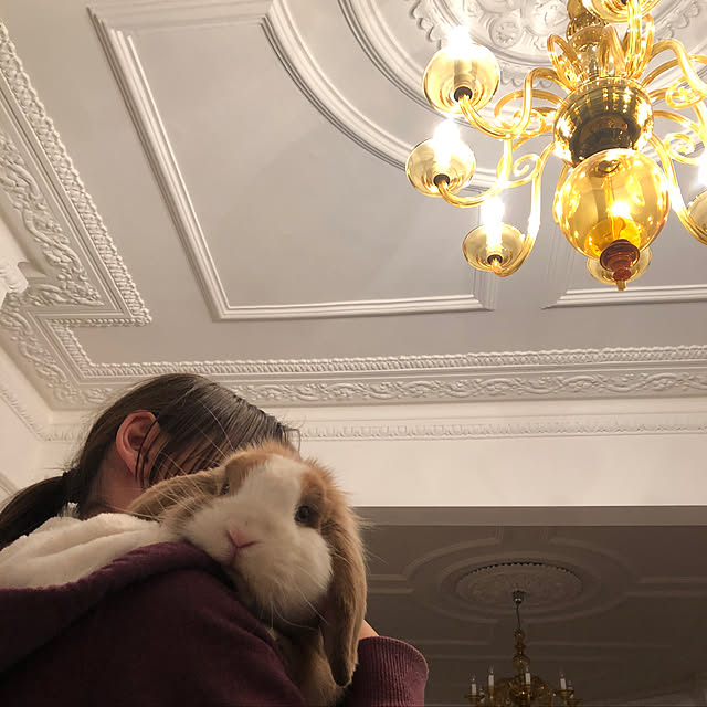 naokoomuraさんの実例写真
