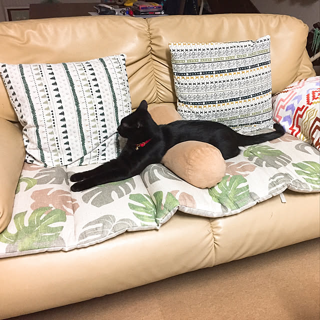 nanaさんの実例写真