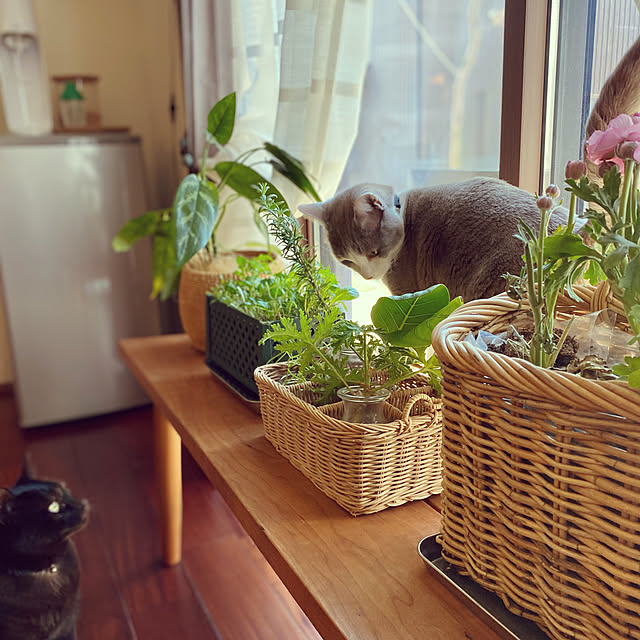 taakoさんの実例写真