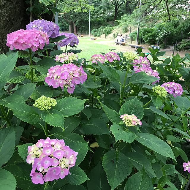 echoさんの実例写真