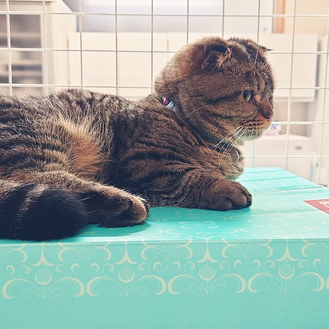 noguriさんの部屋