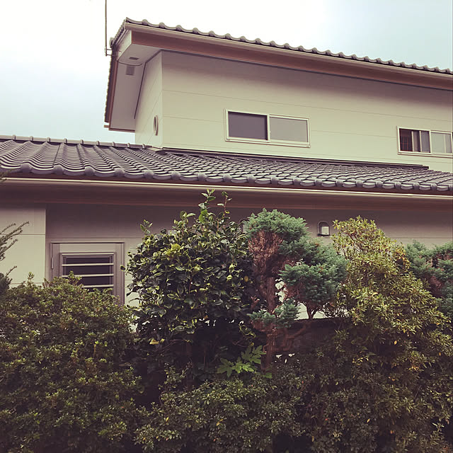 chie320510さんの実例写真