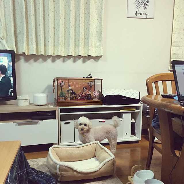 Junran50さんの実例写真