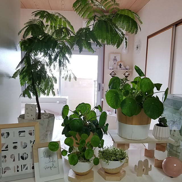 ...t_m_eee...さんの実例写真