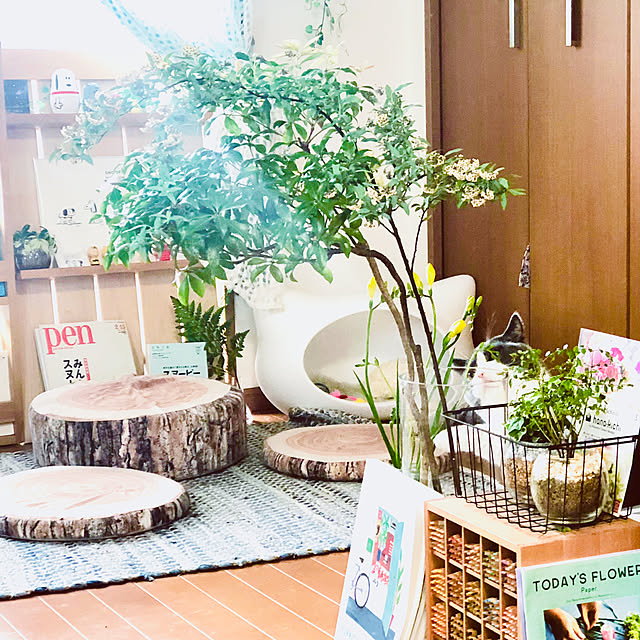 部屋全体/100均/雑貨/salut!/観葉植物...などのインテリア実例 - 2018-06-12 22:26:49