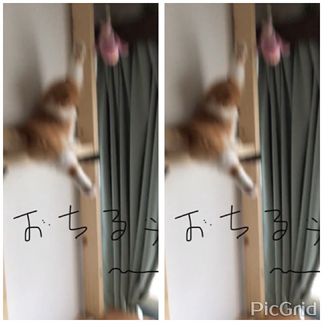m.kantoh18_mikkoさんの実例写真