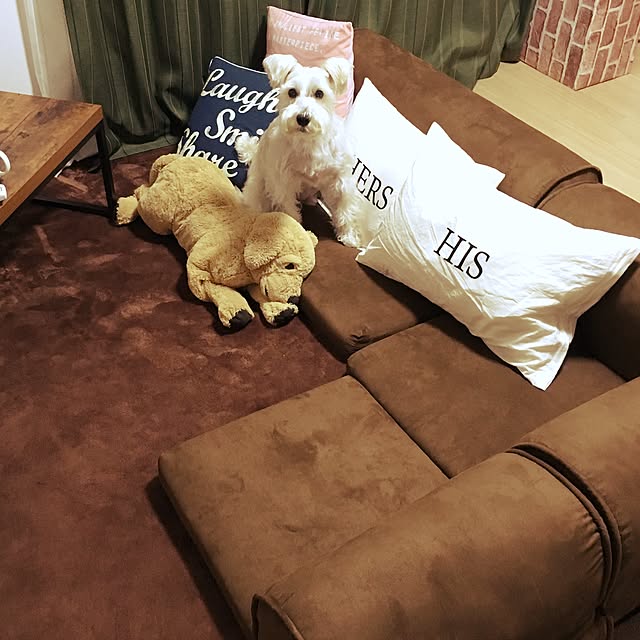 nisukuさんの実例写真