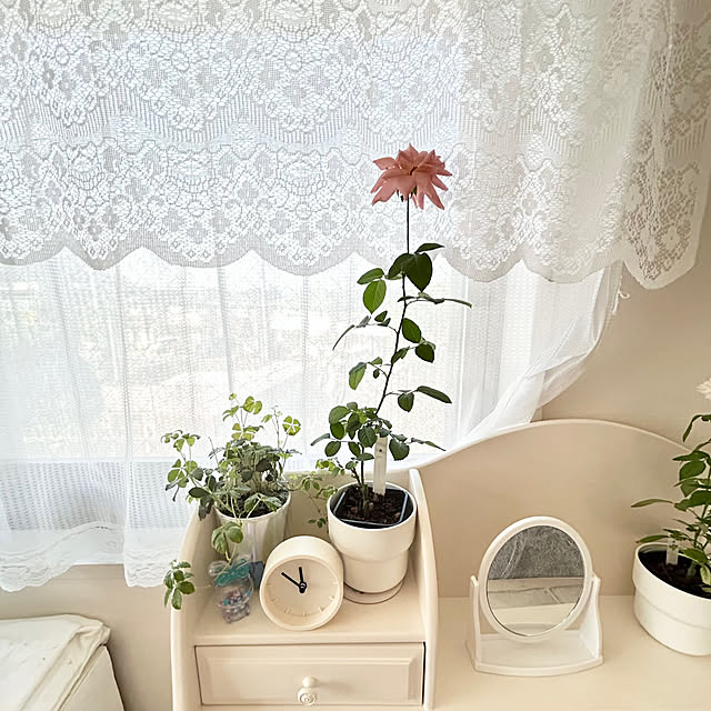 hiromimiさんの部屋