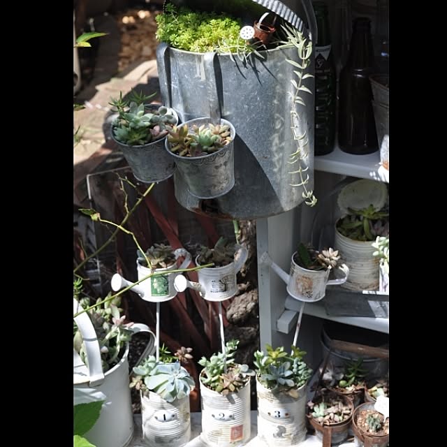 satobonmamaさんの実例写真