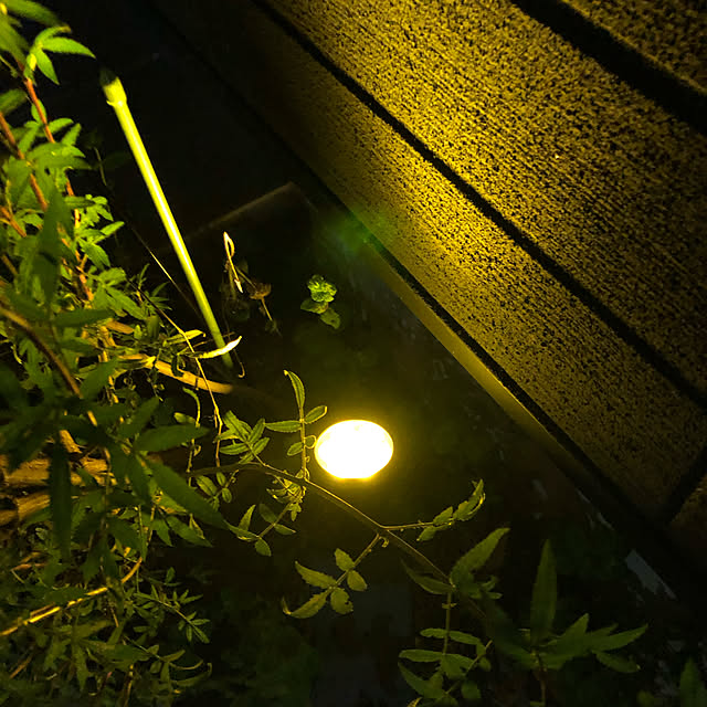 iiee__homeさんの実例写真
