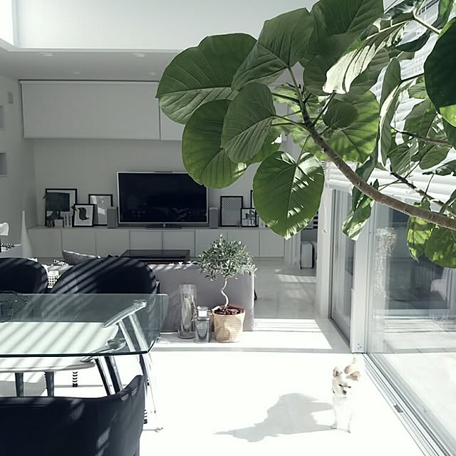 mi-さんの実例写真