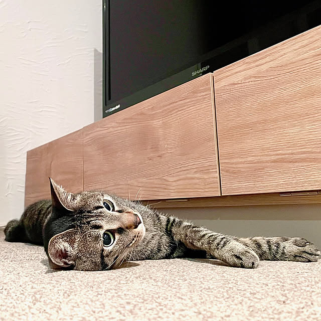 myuさんの部屋