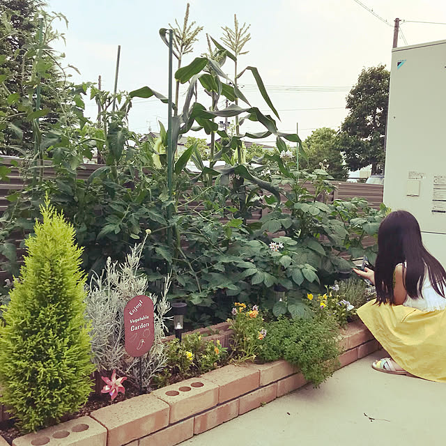 mimikoさんの実例写真