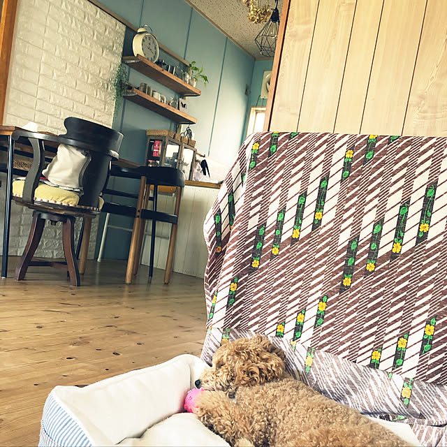 nikoさんの実例写真