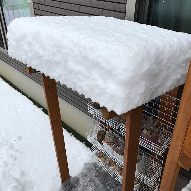 kiriwakaさんの実例写真