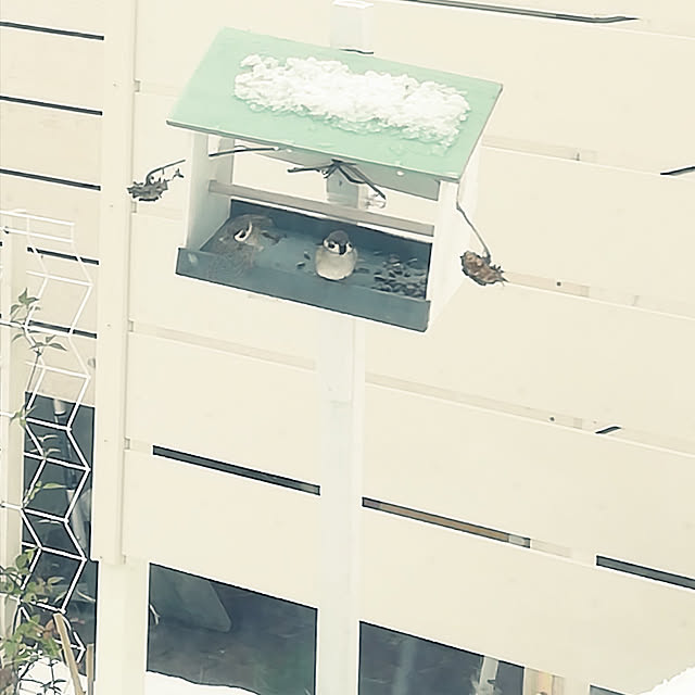 satochiyoさんの実例写真