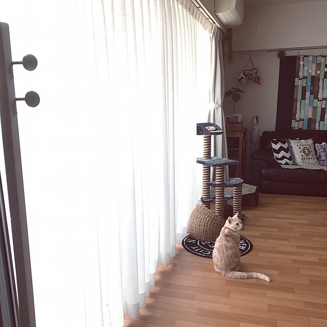 hiyupan88さんの実例写真