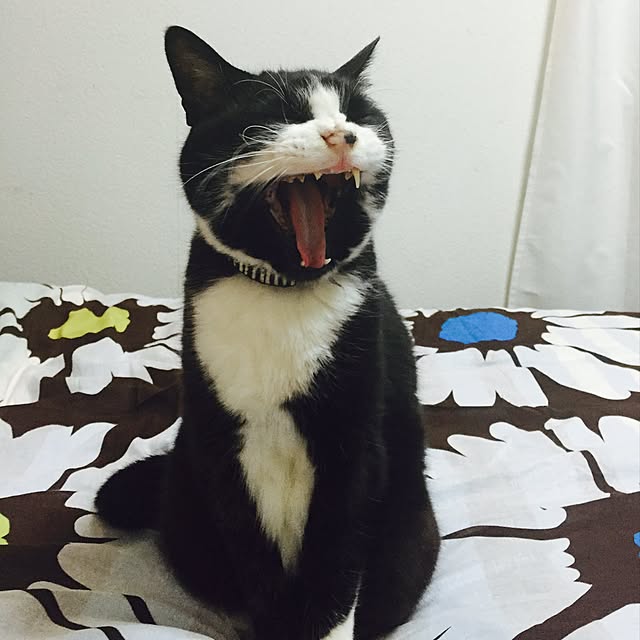 yunaさんの実例写真
