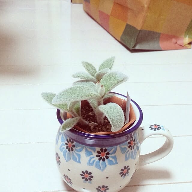 Vivianさんの実例写真
