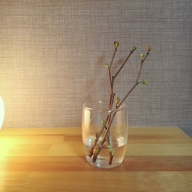 kino021さんの実例写真