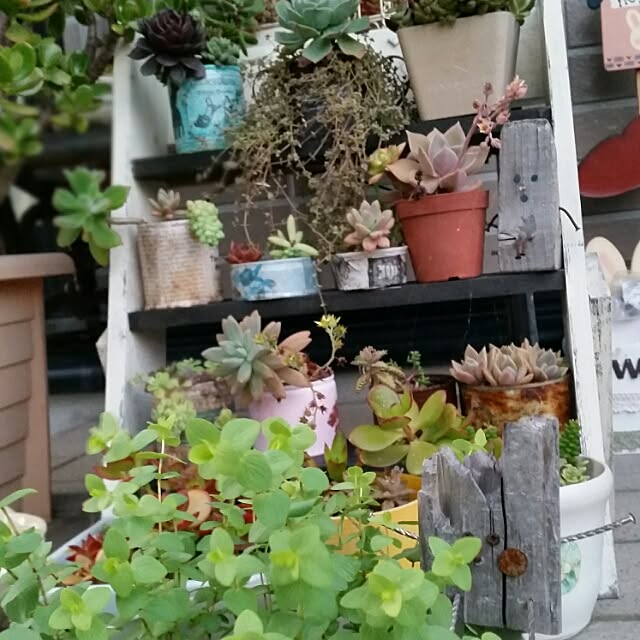 hitomiさんの実例写真