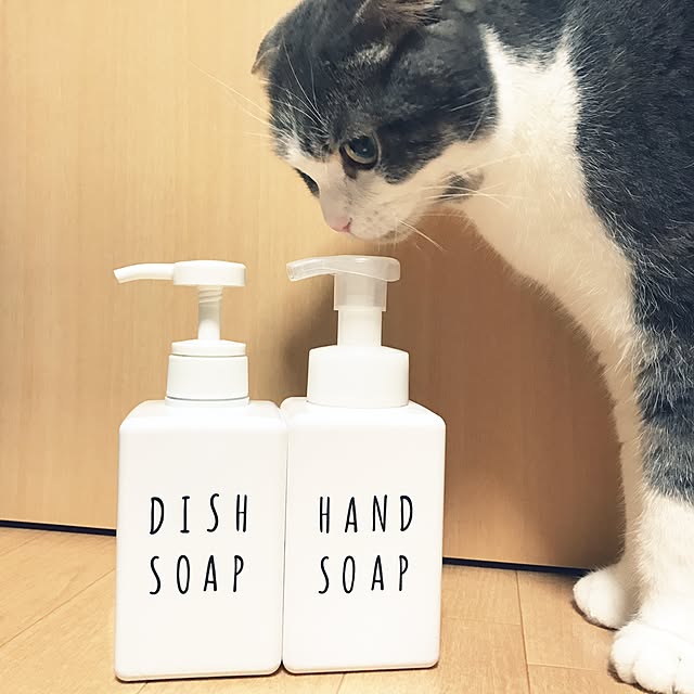 tansukeさんの実例写真