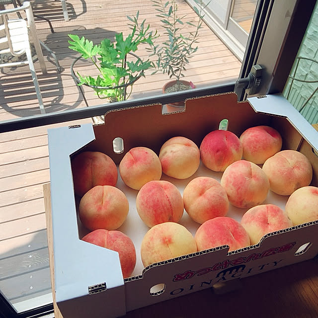 cocoさんの実例写真