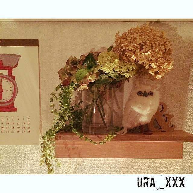 ura_xxxさんの実例写真