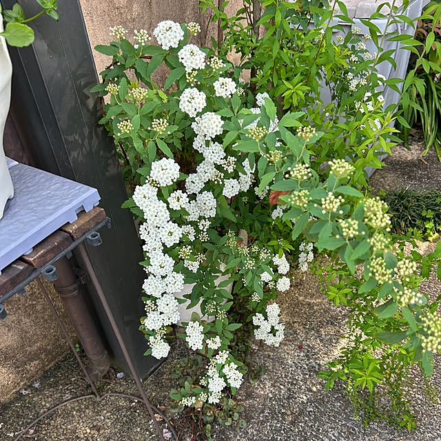 fumikoiさんの部屋