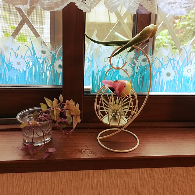 michaさんの実例写真