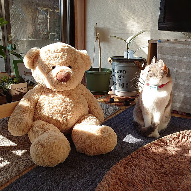 fukuさんの実例写真