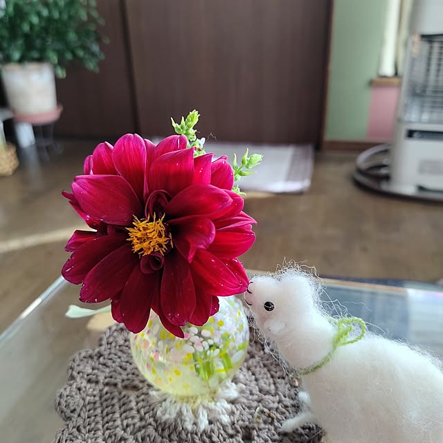 kiraさんの実例写真