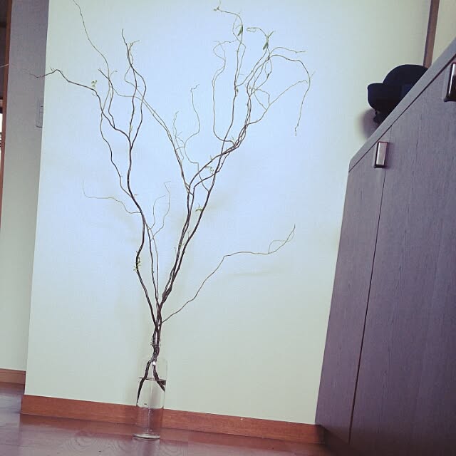 rie06さんの実例写真