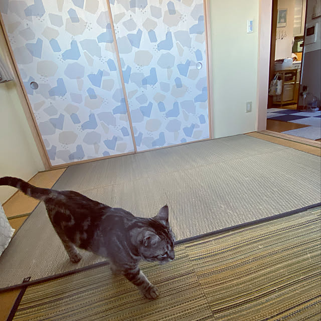 yuzuaoさんの実例写真
