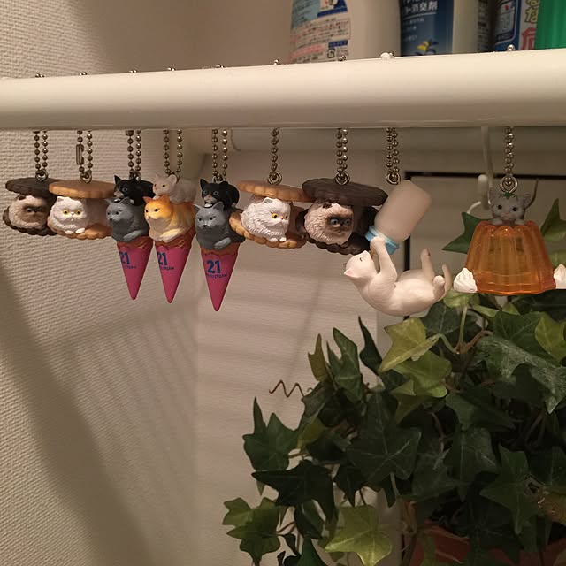 dodoさんの実例写真