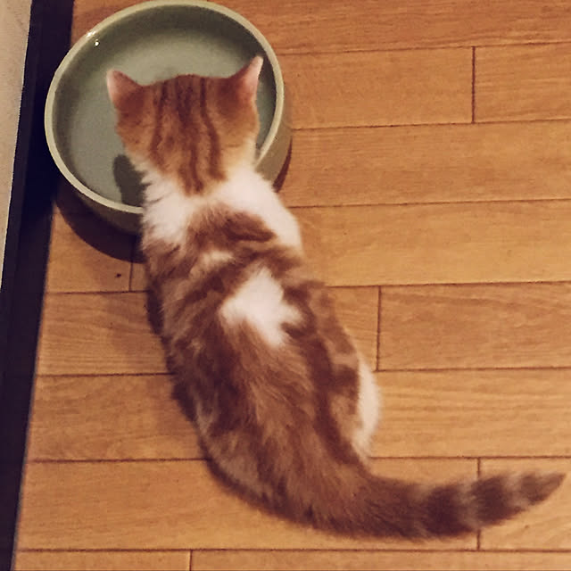 annaさんの実例写真