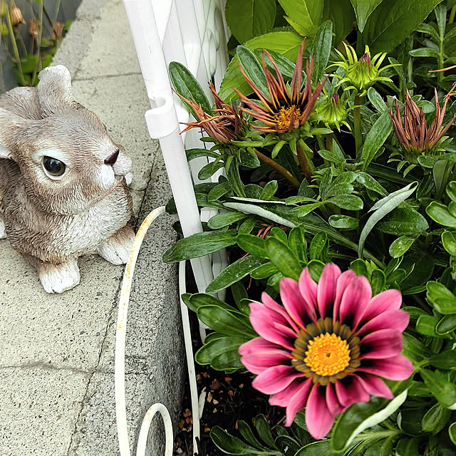 kiraさんの実例写真
