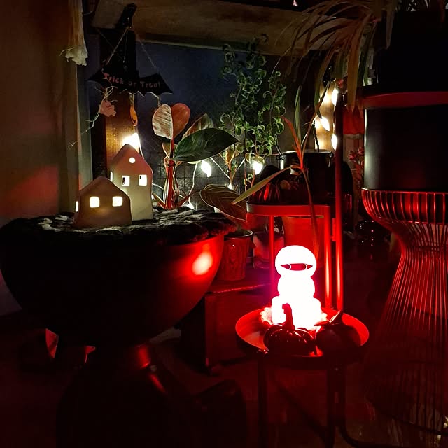 noaさんの実例写真