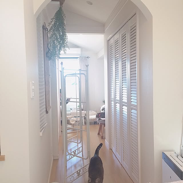 lovecatさんの実例写真