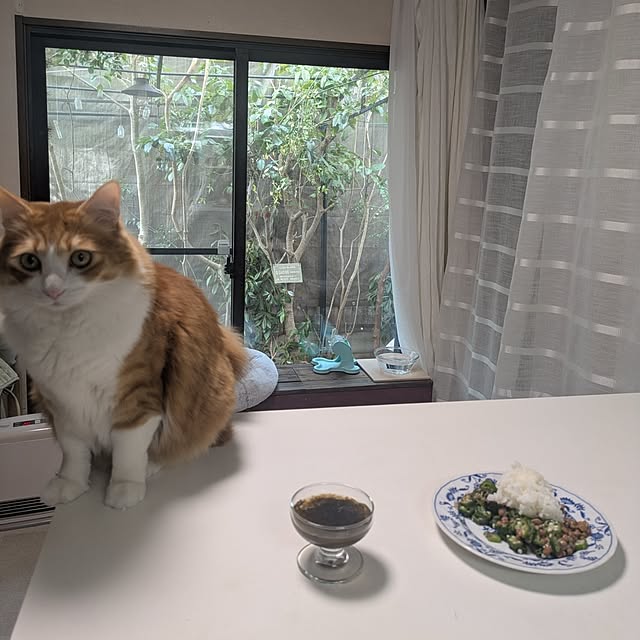 mori_6_12さんの部屋