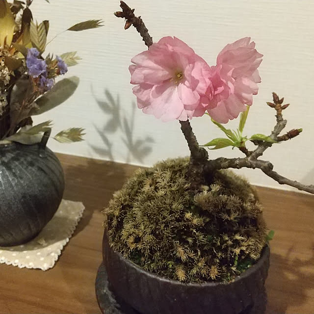 ayaさんの実例写真